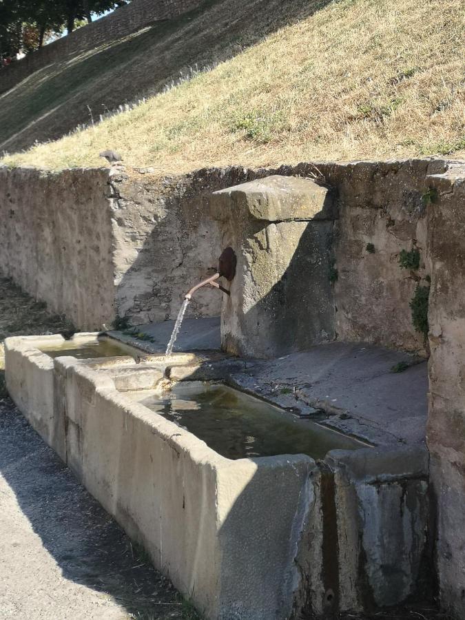 Ferienwohnung Un Petit Coin De France : A Cote De La Cite Medievale Carcassonne Exterior foto