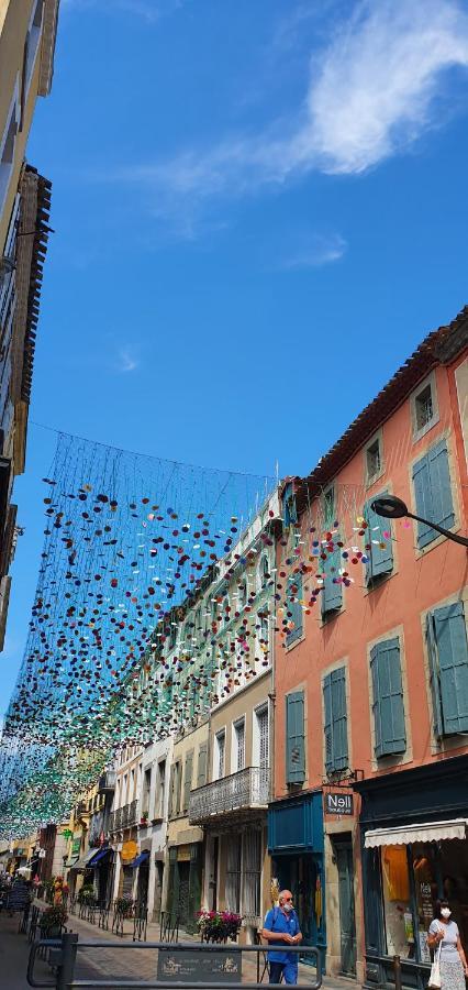Ferienwohnung Un Petit Coin De France : A Cote De La Cite Medievale Carcassonne Exterior foto